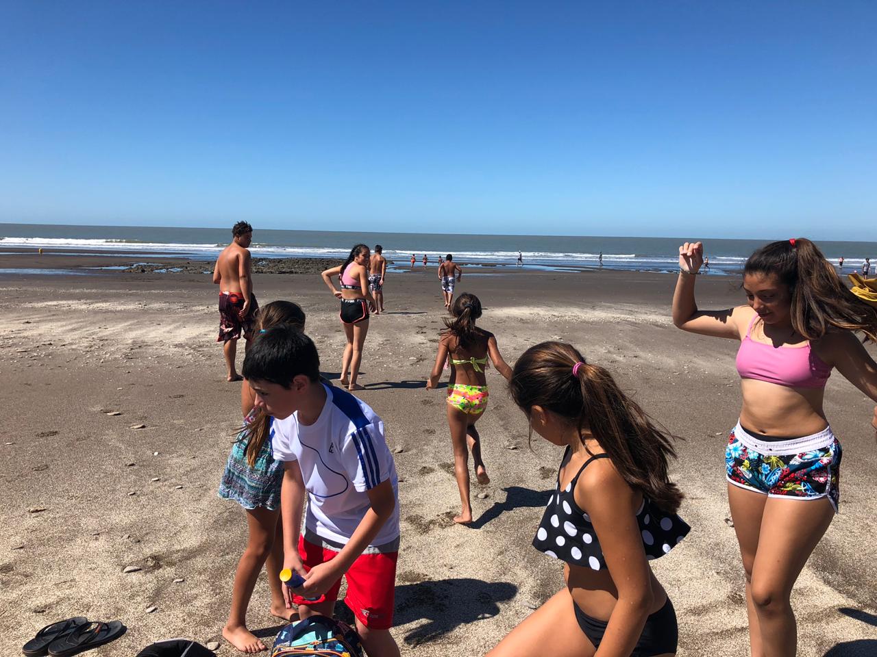 458dad9c-08fa-41bf-8a12-50b6d3797a3c