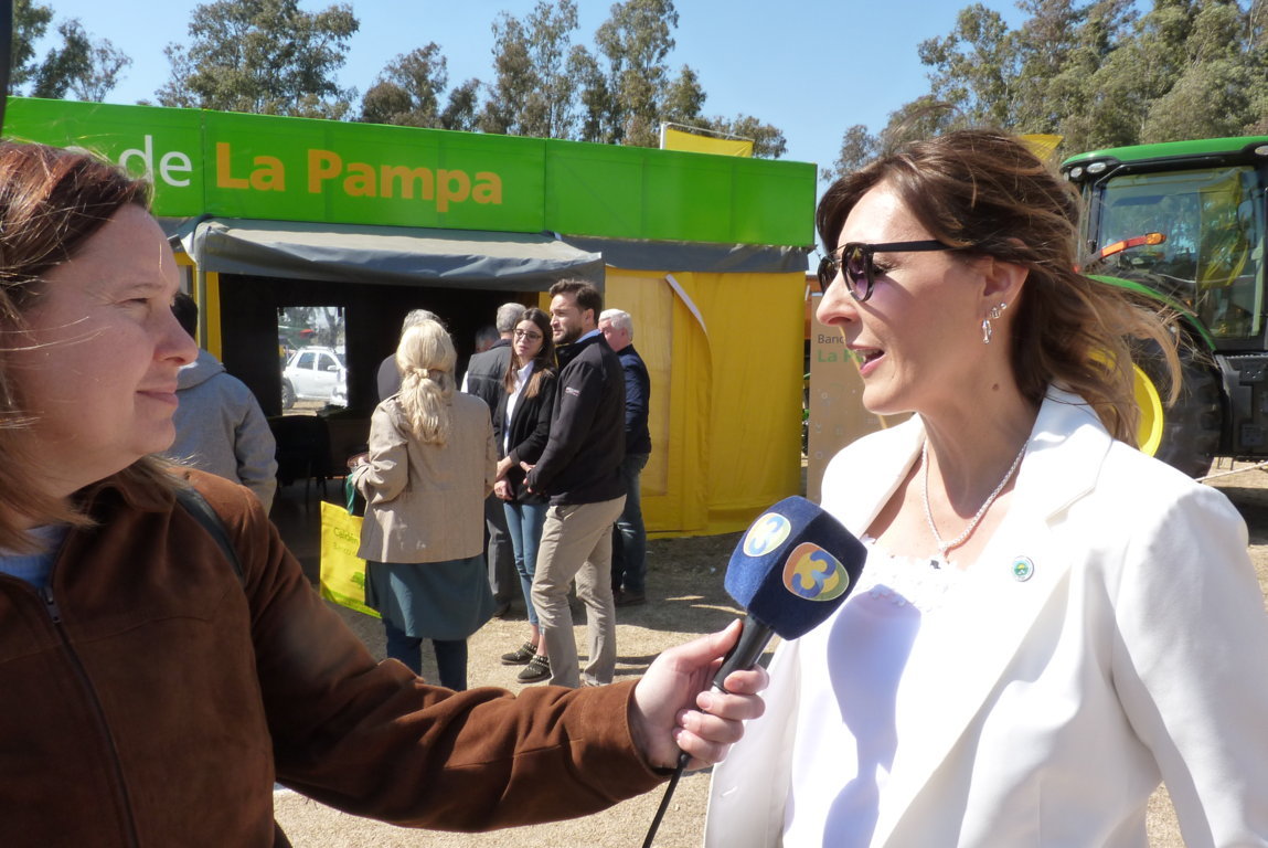 P1410771 (FILEminimizer)