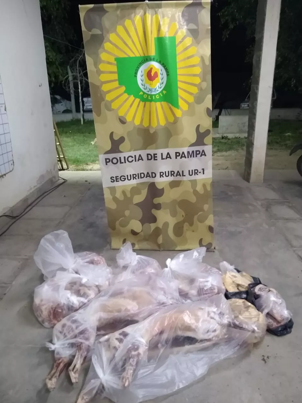 108972_whatsapp-image-2022-12-15-at-10.23.17