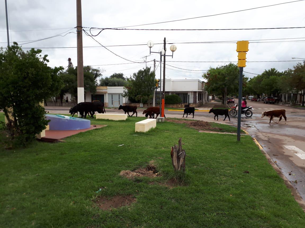 e85275fa-12c3-4689-9ffc-f61e7f4a957f