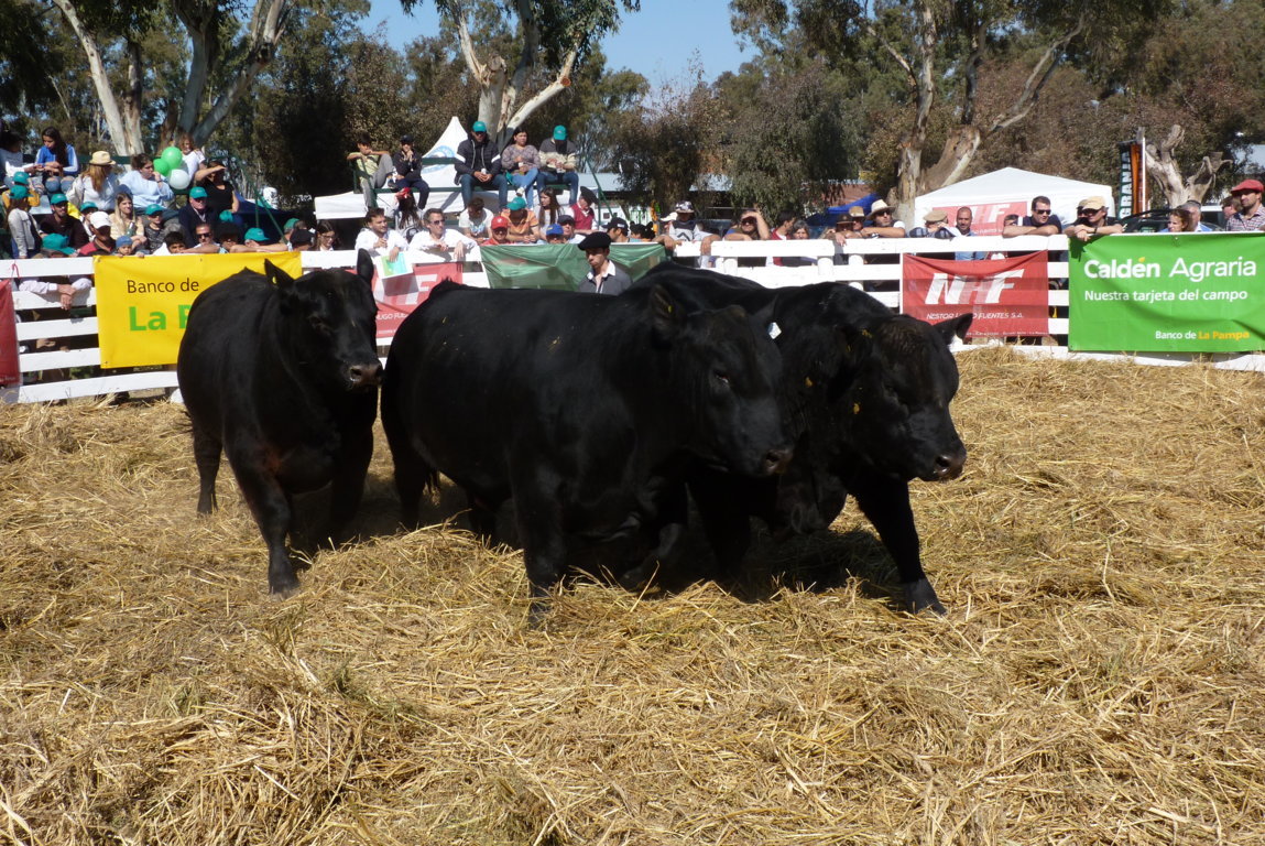 P1410867 (FILEminimizer)