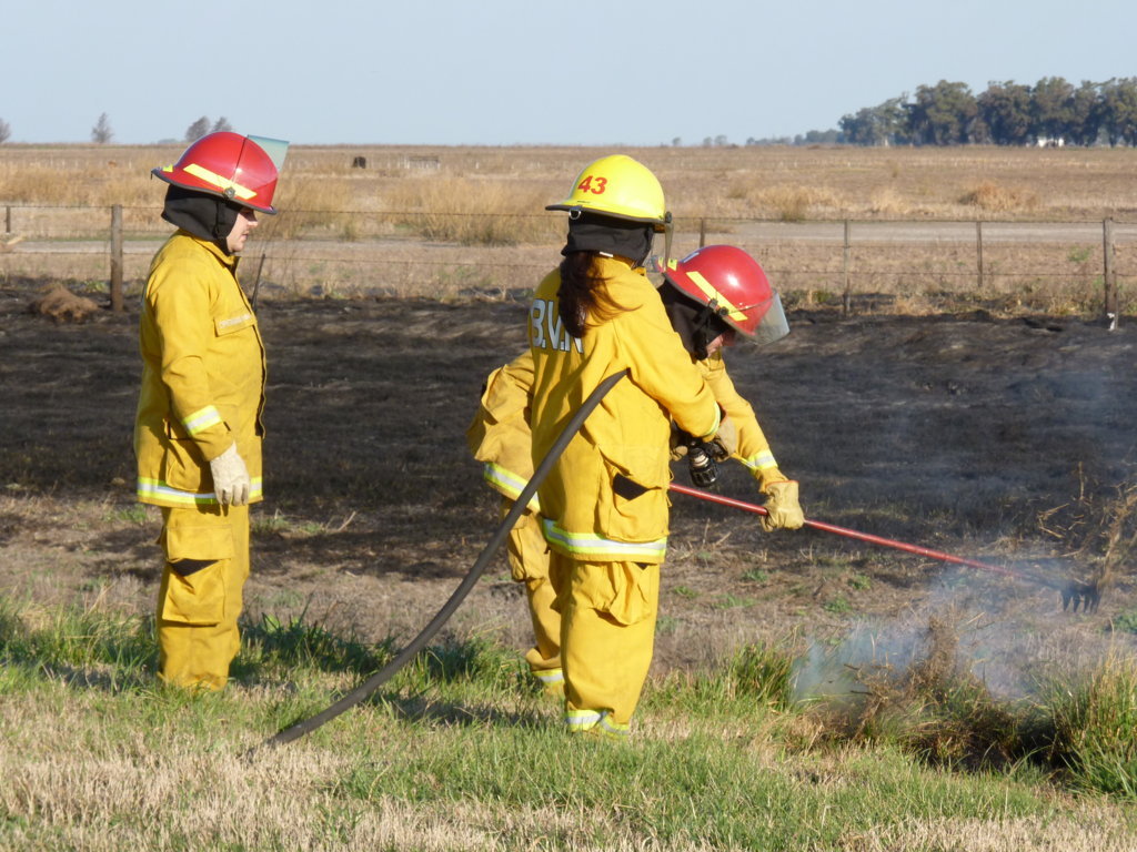 P1270015 (FILEminimizer)