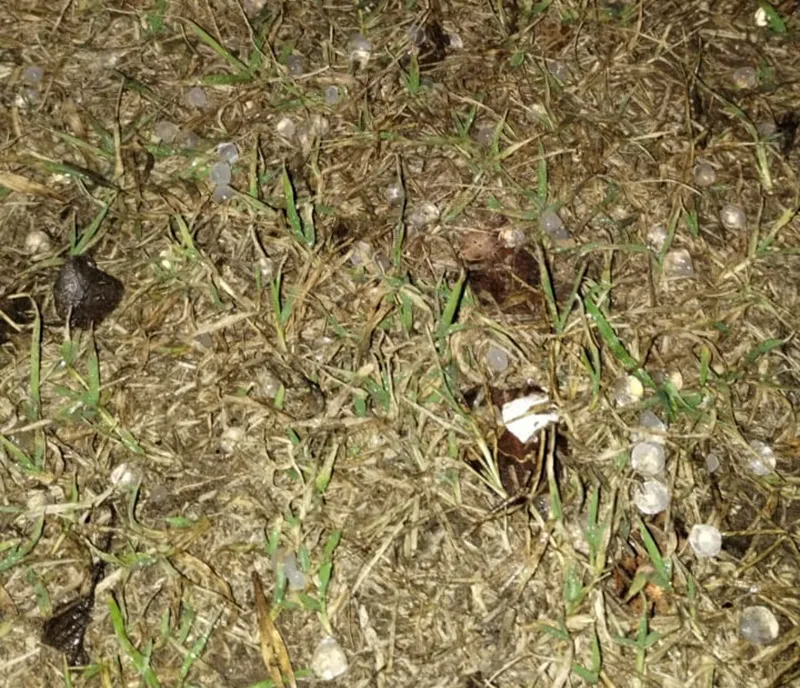 f815f381-09b8-4d84-8579-c1cf31d19d44 (1)