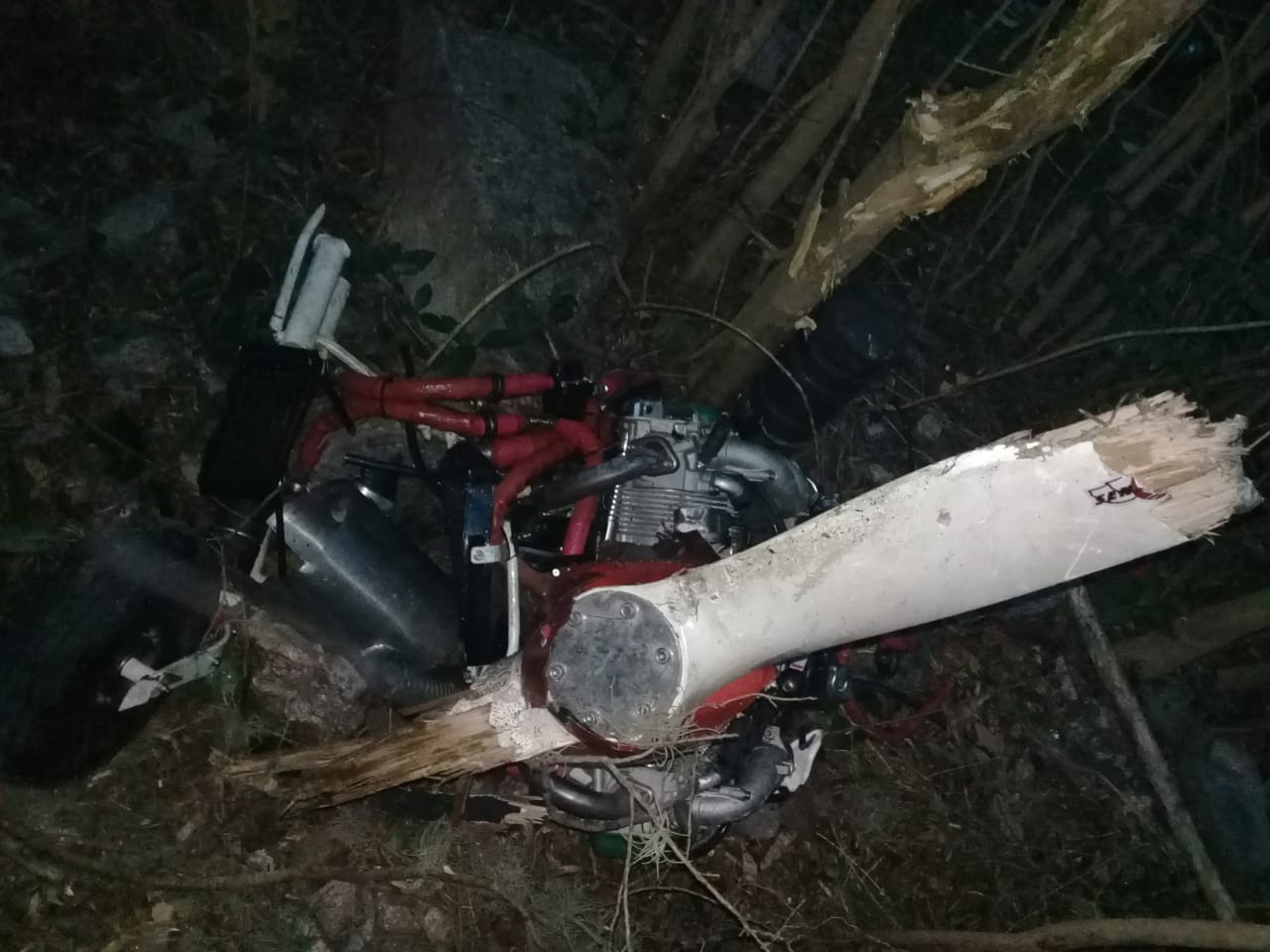 762862d0-6b4b-4c54-ac09-29f39a2cf0df