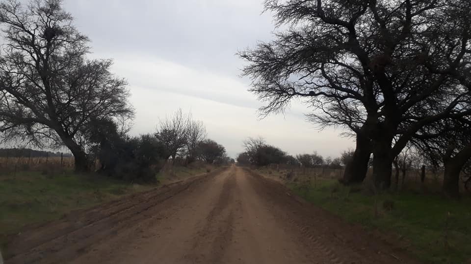 Caminos rurales 1