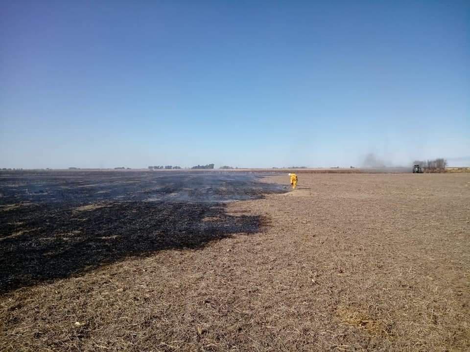 FB_IMG_1597360151294