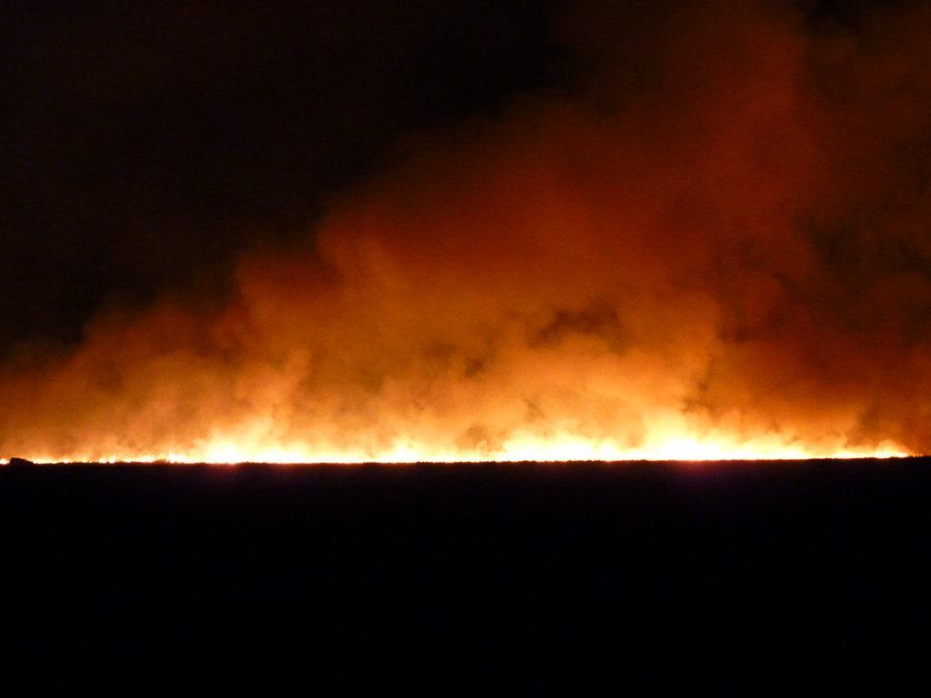 P1050472 (FILEminimizer)