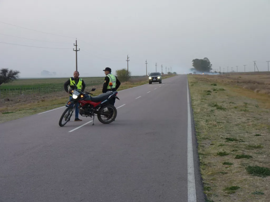 parera 3 (FILEminimizer)