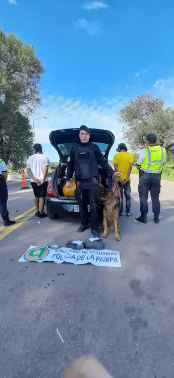 137347_whatsapp-image-2023-03-22-at-16.19.07