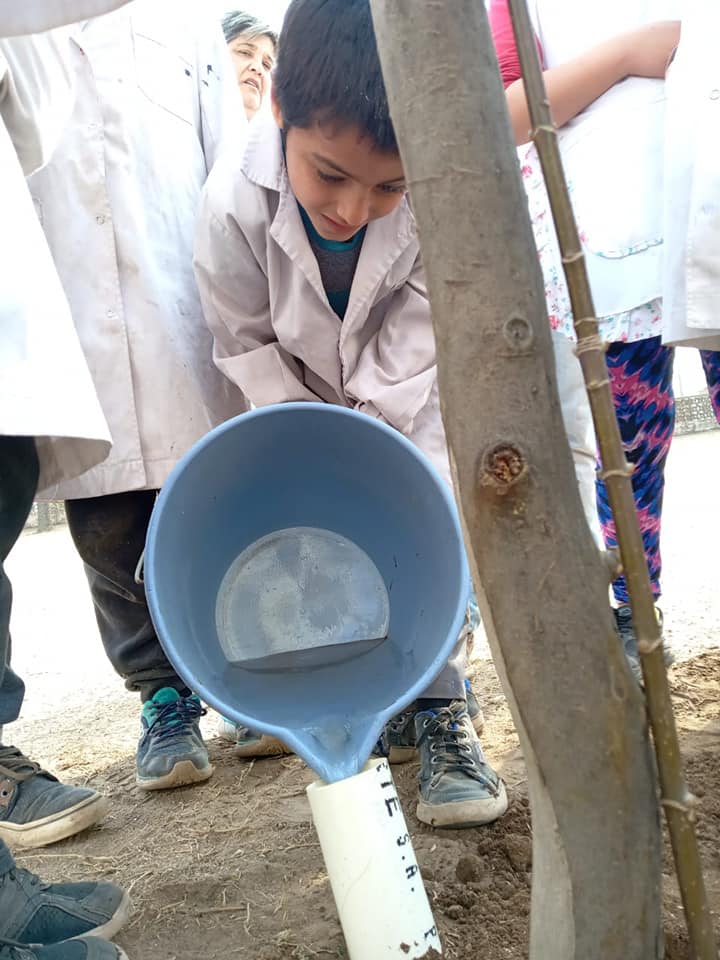 69337570_2636238176387838_9193752091250655232_n