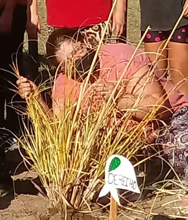 05e82bfe-a270-447b-9525-d57ebcc7e984