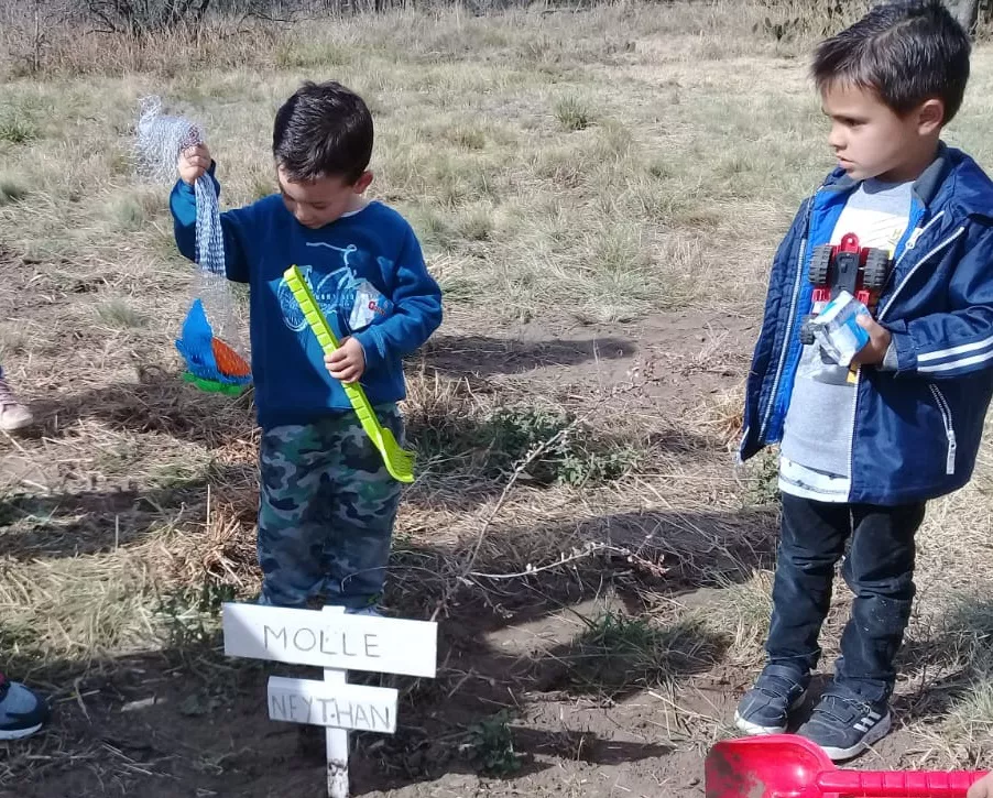 f7e6effd-a744-4e79-b56b-7d0af6a4877a