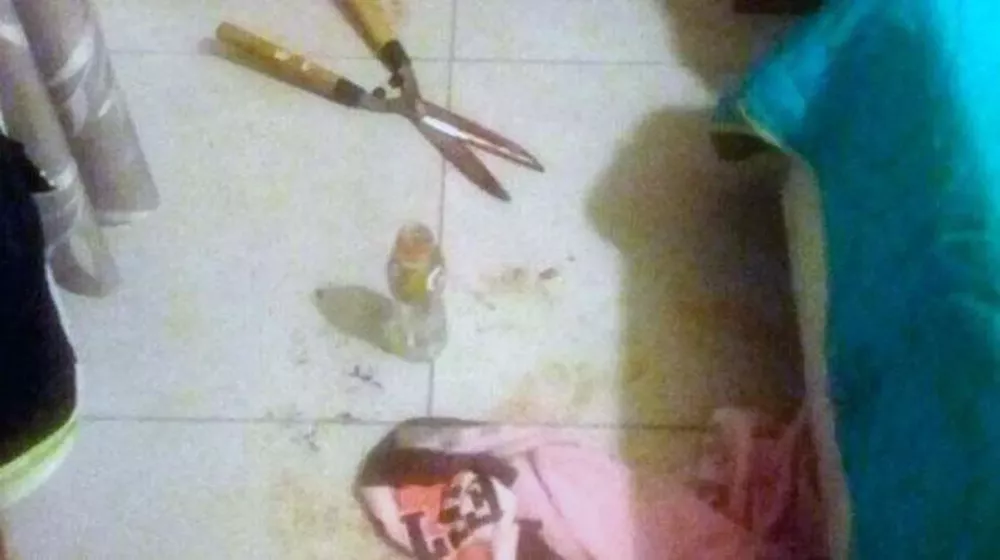 UQAG2V7WPK2PALF2SLYRQSEWXQ