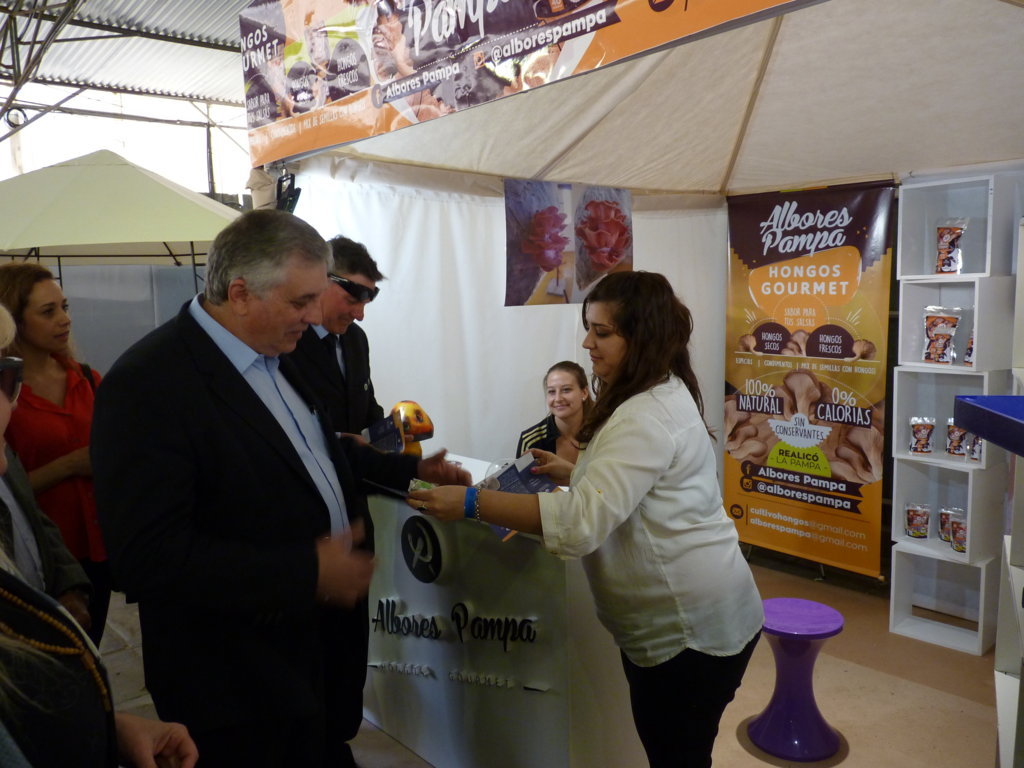 P1270149 (FILEminimizer)