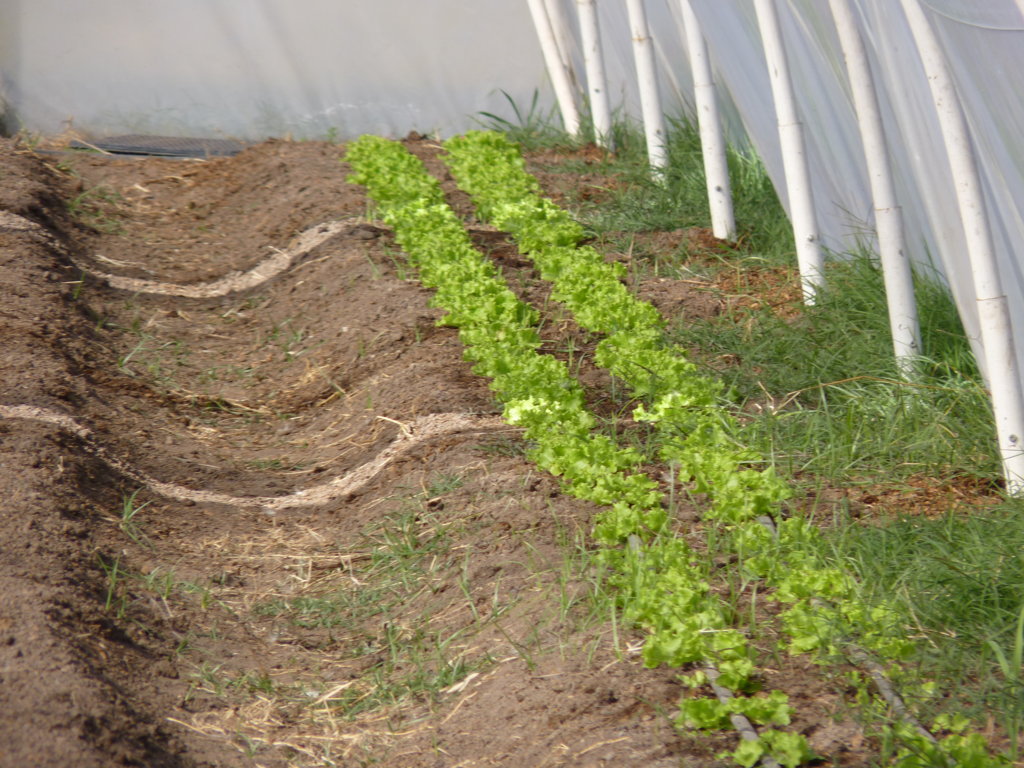 P1350615 (FILEminimizer)