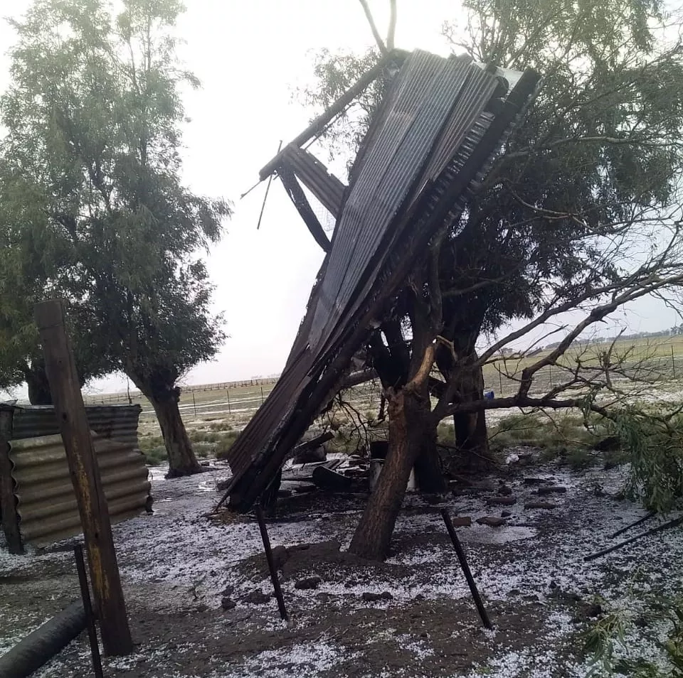 c25344ef-f2a7-4390-8ba8-4d32c88a075a (FILEminimizer)