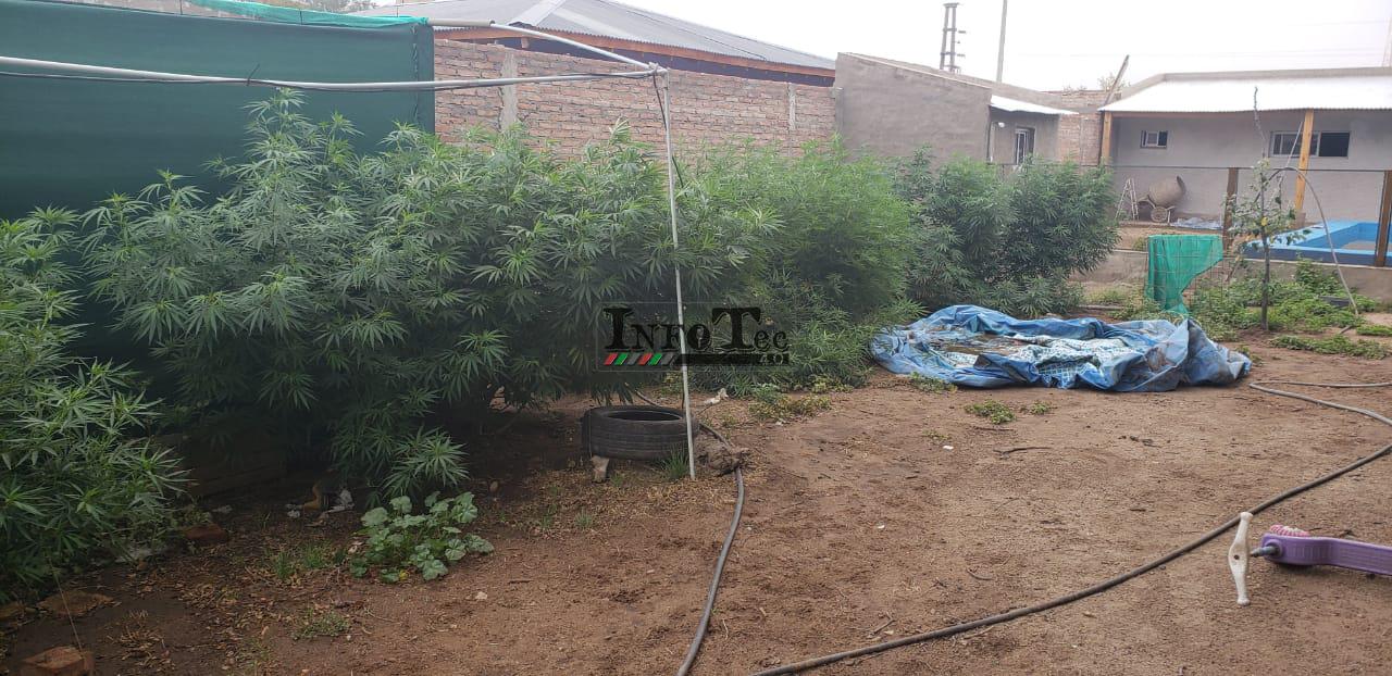 c0fe43a9-c579-4e13-a37b-e1f7c9952771