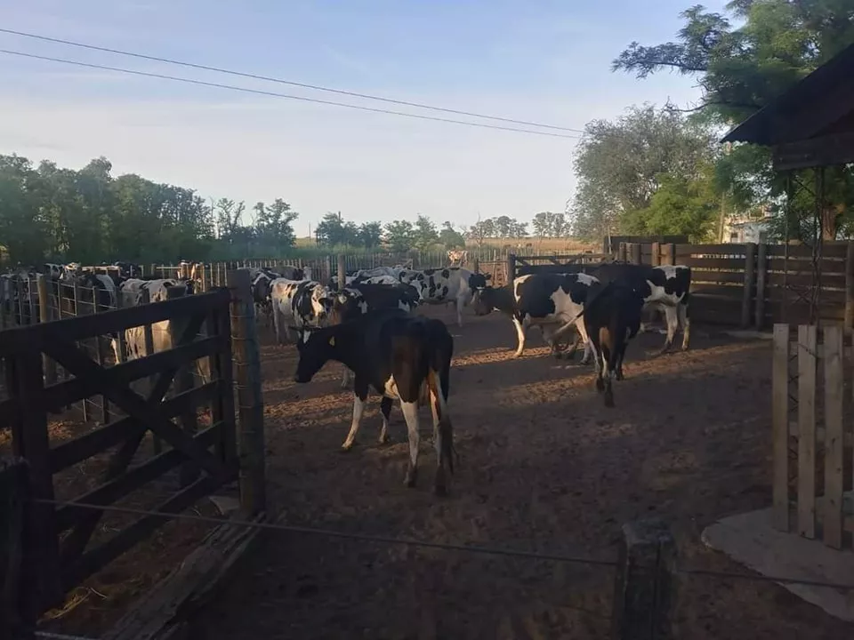 330813006_1226400371617406_5577260278489734354_n