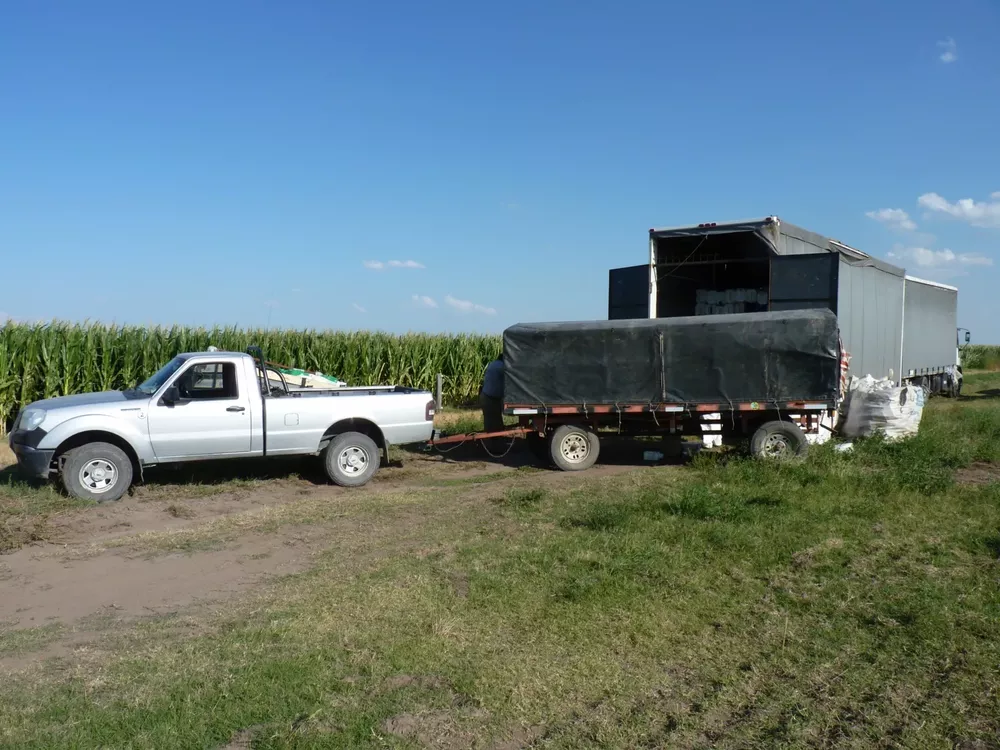 campo limpio 2 (FILEminimizer)