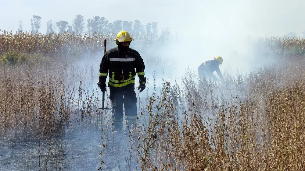 incnedio cosechadora pacho 10 (FILEminimizer)