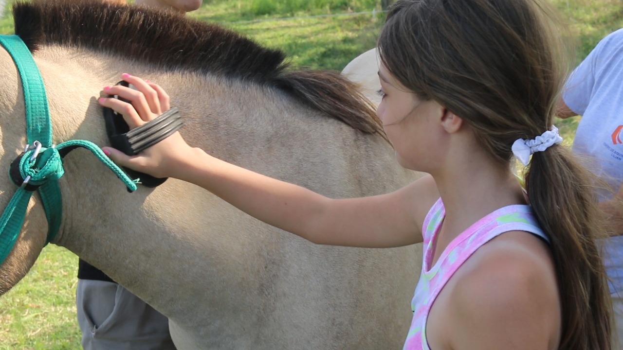 b350f453-8c14-4c58-989c-f1a0f840eaf1