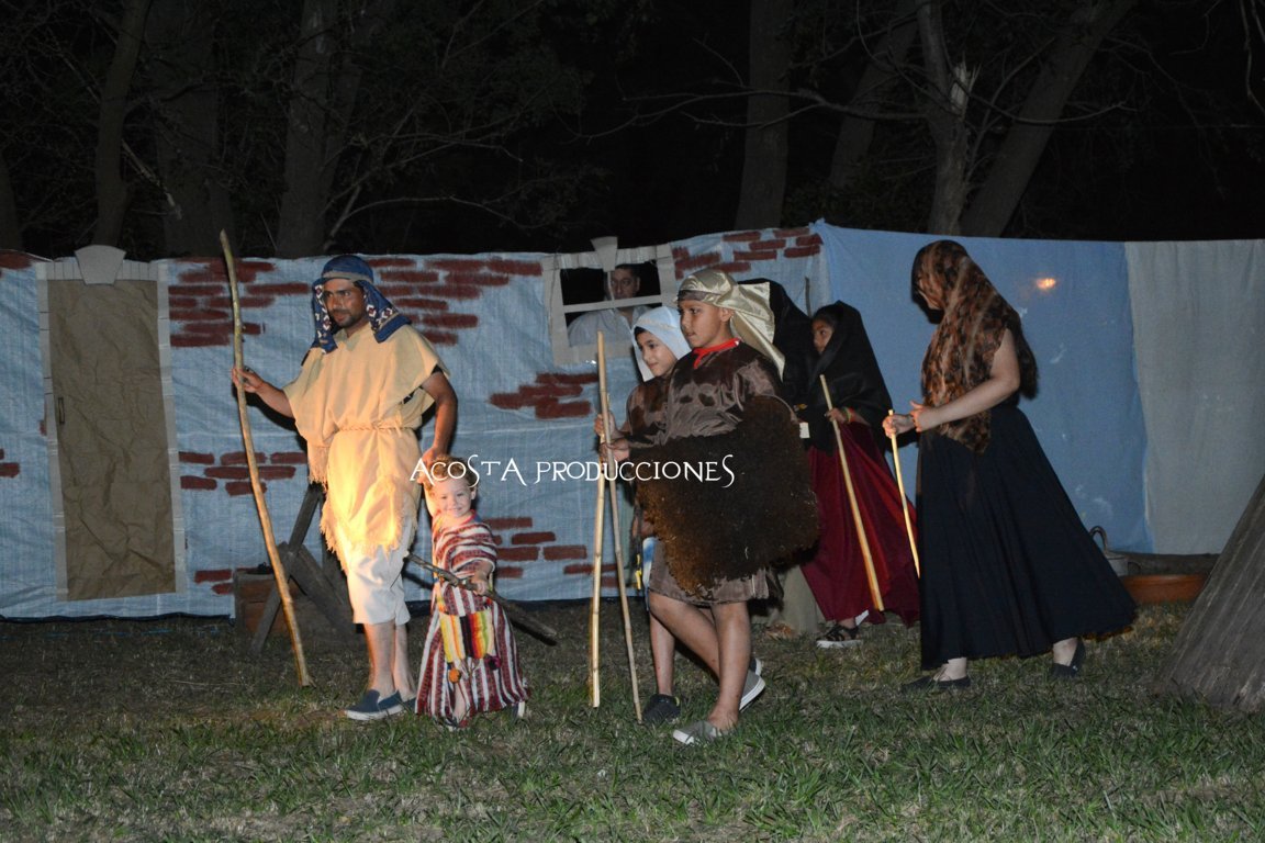 DSC_3517 (FILEminimizer)