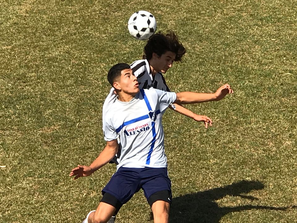 75271442_2699921813379459_7991942846519181312_n