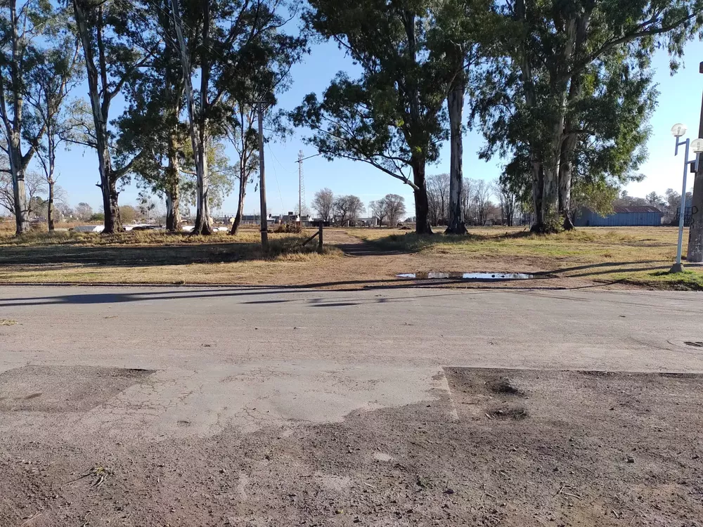 cruce peatonal vias Realicó 2