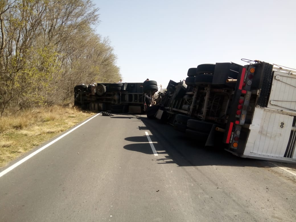 d53fc0d2-4b03-4084-a1d4-628b95c24907