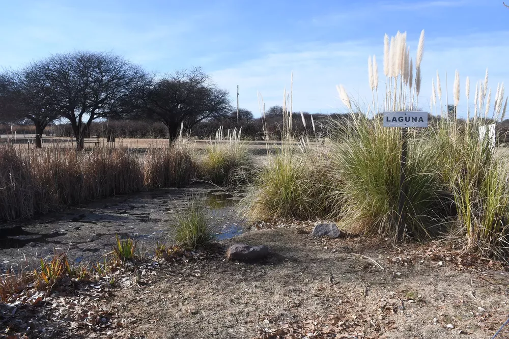 1249242_apn-gus_1141