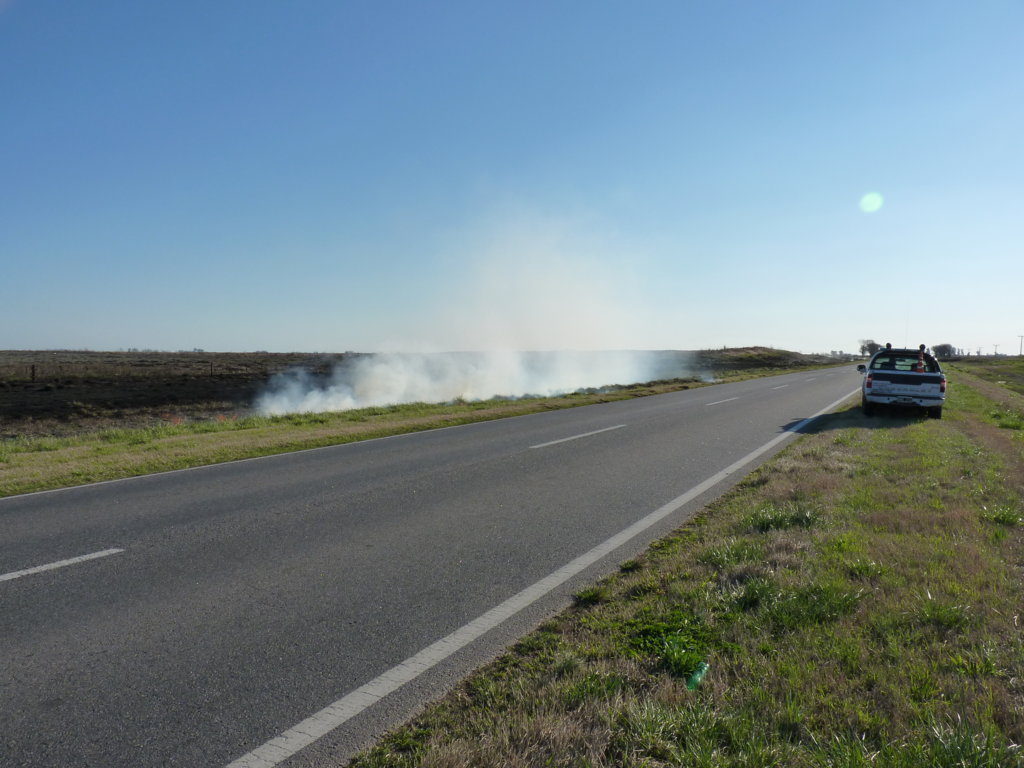 P1260976 (FILEminimizer)