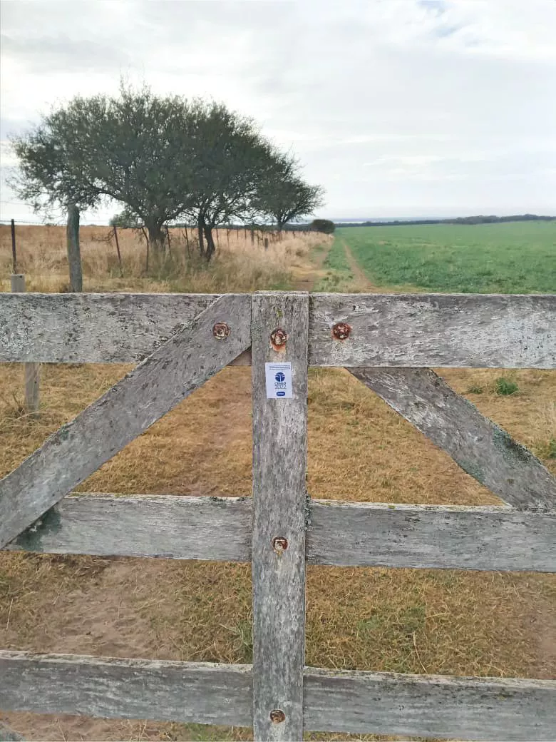 146459_img-20220511-wa0037