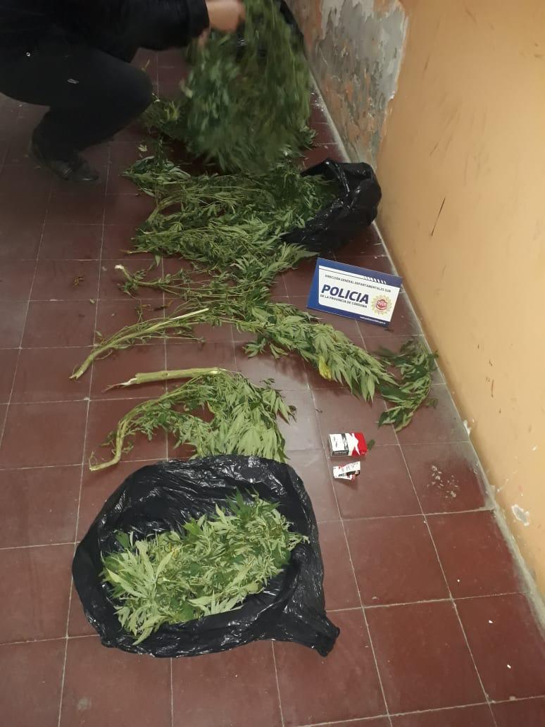 18904e49-2580-4d7c-a25c-d50712d831d7