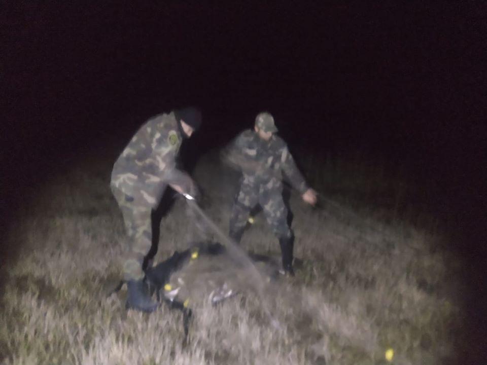 98025051_660821351441102_6682966419631505408_o