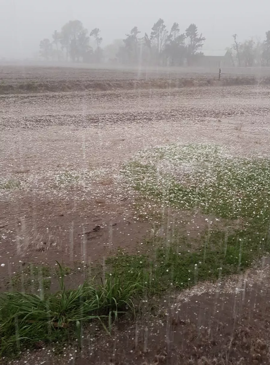 9e7602d4-b861-43cc-83ad-9825db975c9e