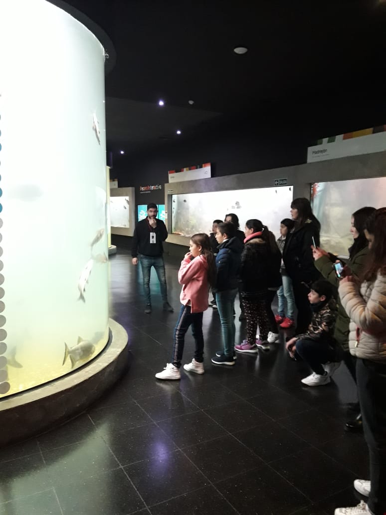 9b26f6df-9dea-4416-8056-5d66fca7a454