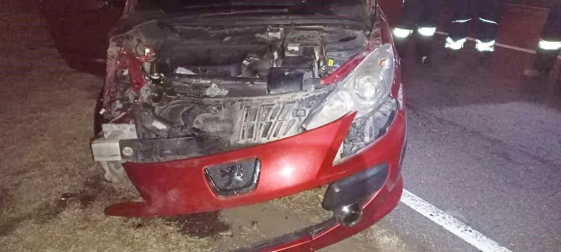 2ae68dd0-6f23-46e0-a597-733b428c2bd3