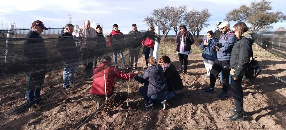 508124_img-20230706-wa0058