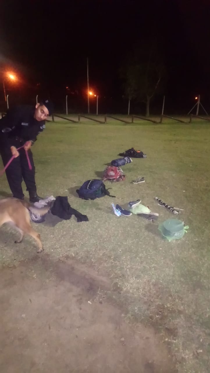 e5cf5d7d-186c-4056-856f-6c9869ccb18e