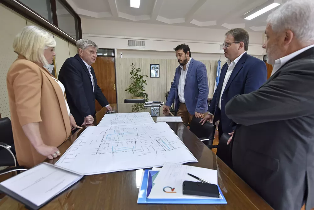 ziliotto Bongiovanni y Sola 1