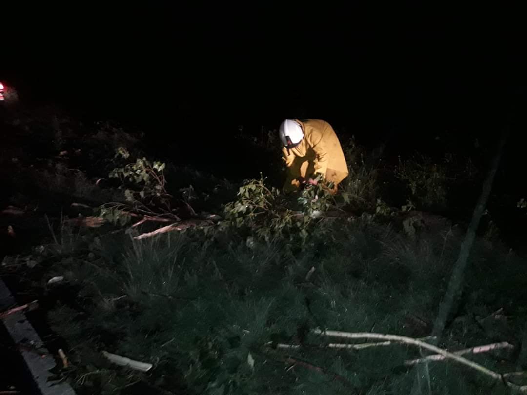 5431edb1-4721-4acd-95b4-e1ef9179af4d