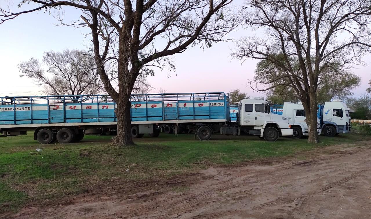 f73870bd-fc02-408b-a7b0-ce1c81ba2cda