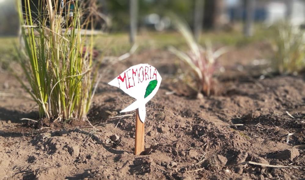 0cb8cd81-59f3-4de0-a1e9-eaa50767798a