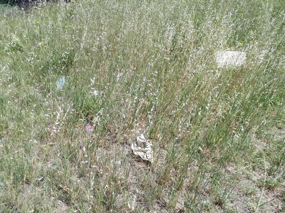 d90b7463-2b40-46c4-a3f8-6021ae9226a9