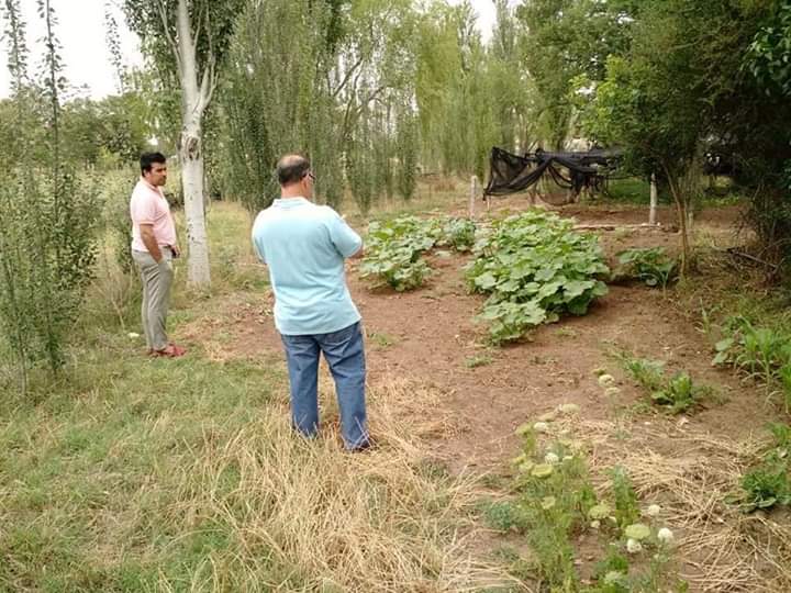 FB_IMG_1576063668278