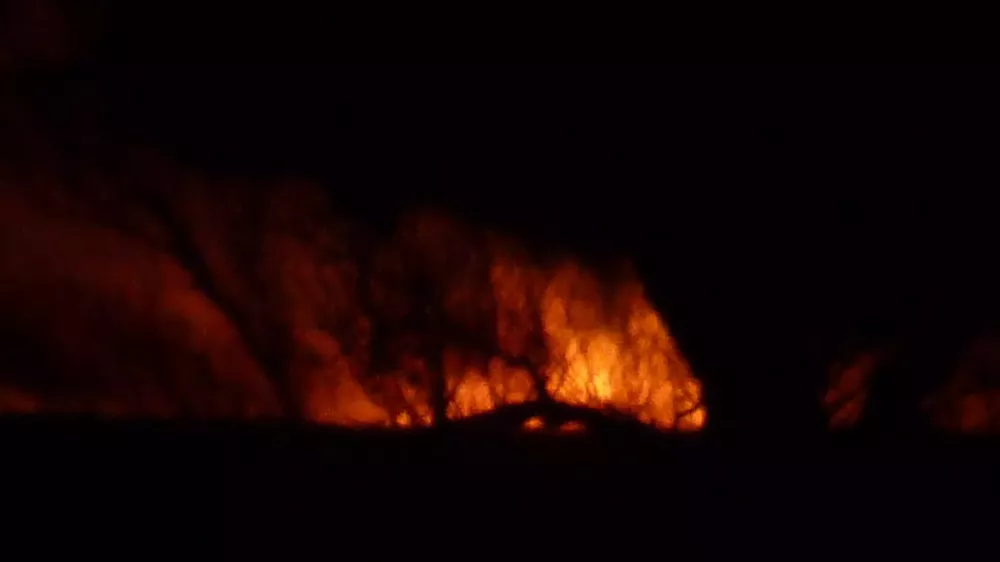 P1150363 (FILEminimizer)