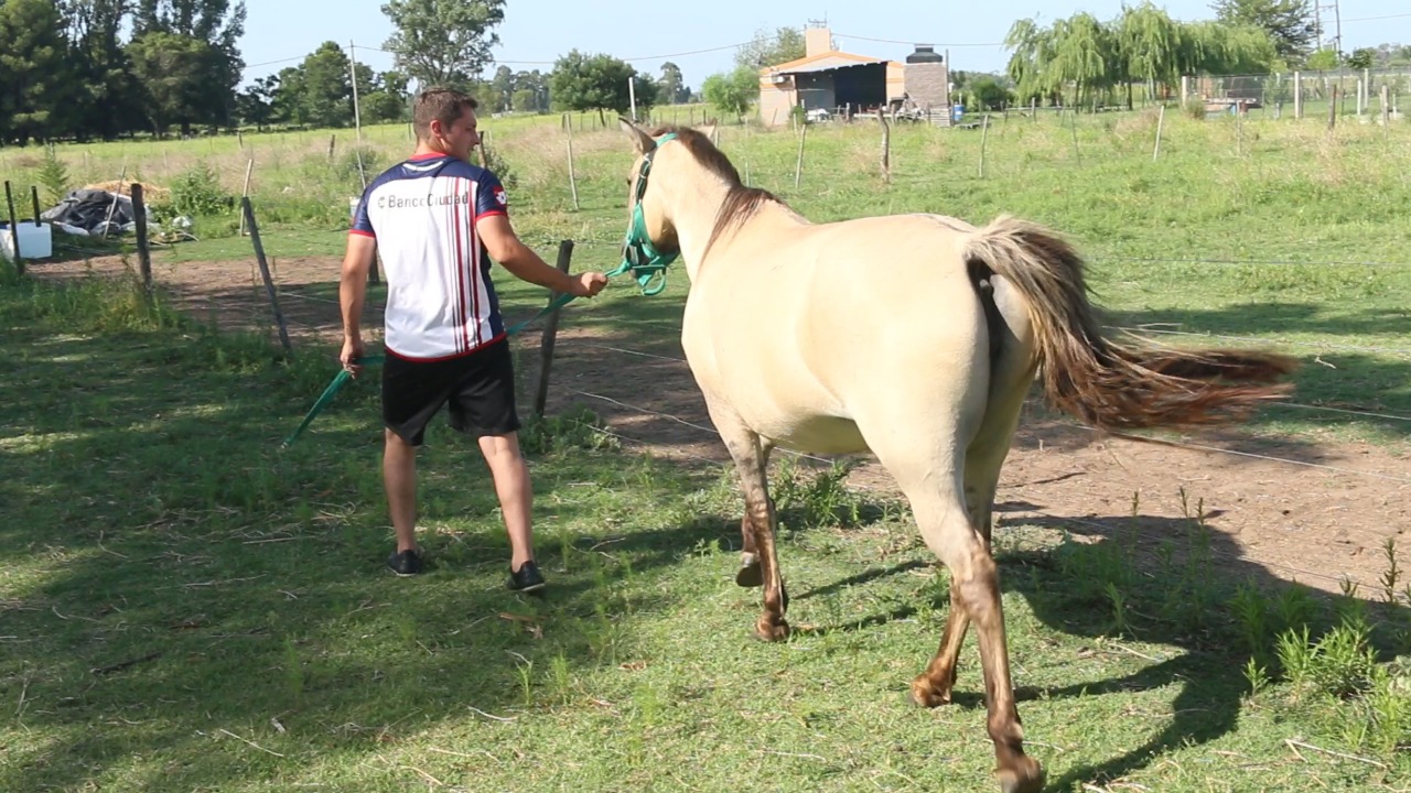 da732bcc-b893-431b-8282-db7045e473c1