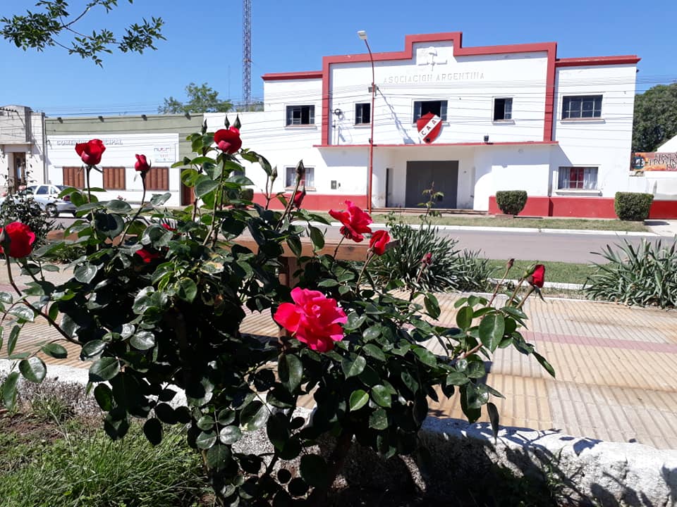 ROSAS 12