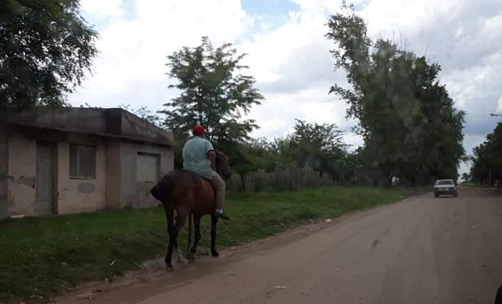 FB_IMG_1546370153600