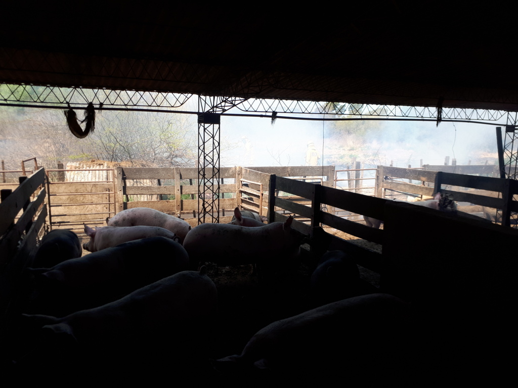 20191008_132048 (FILEminimizer)